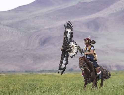 Mongolia – The Great Eagle Hunters