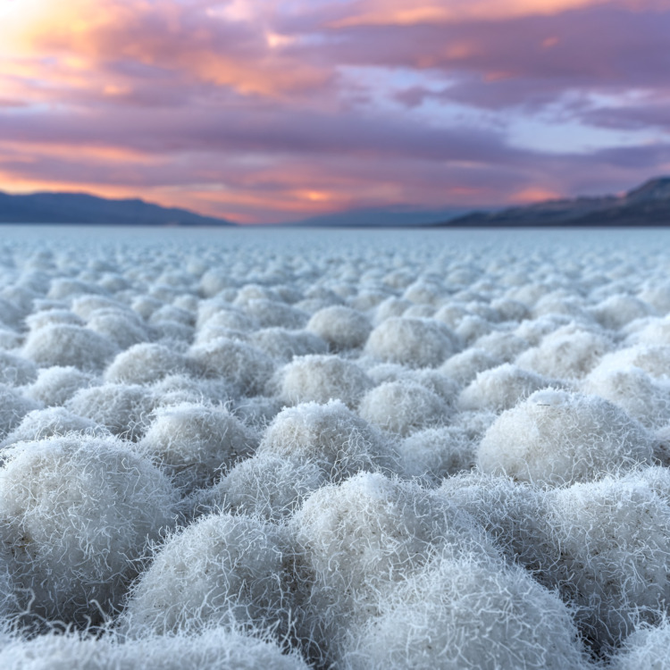 DeathValley_BadwaterBasin